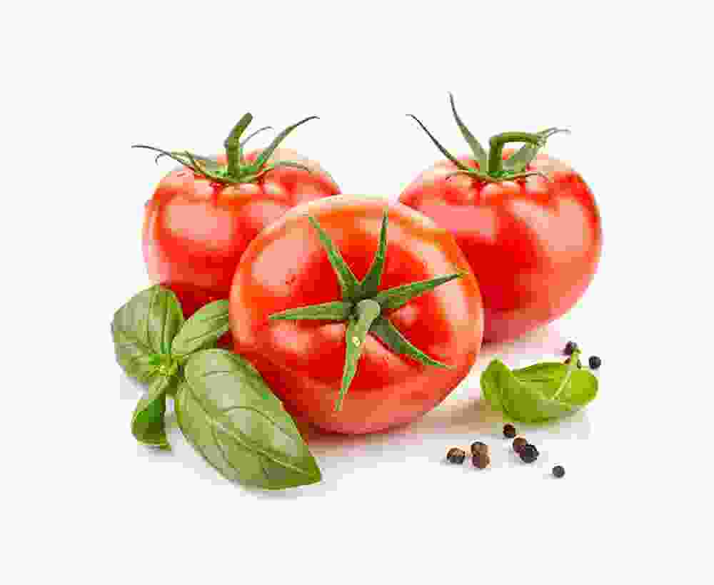 Shop Primary Image Shop Primary Image