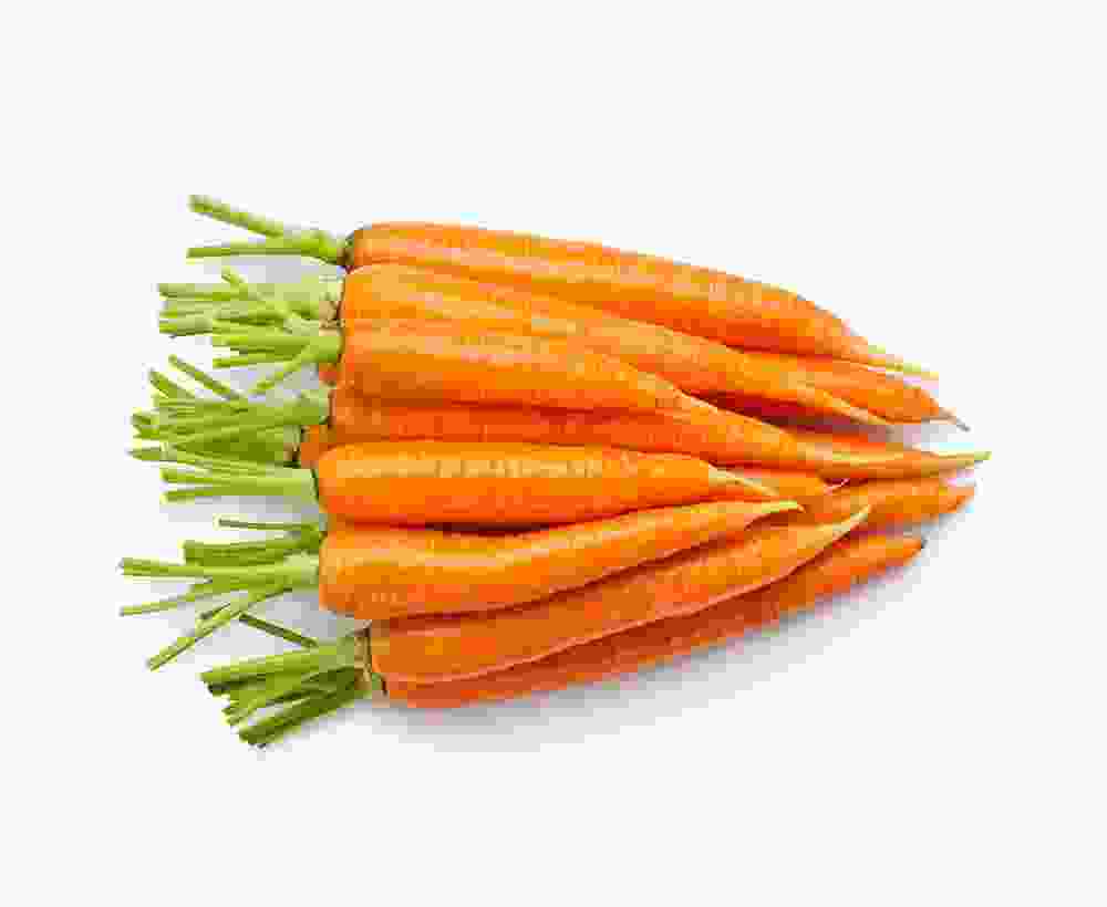 Shop Primary Image Shop Primary Image